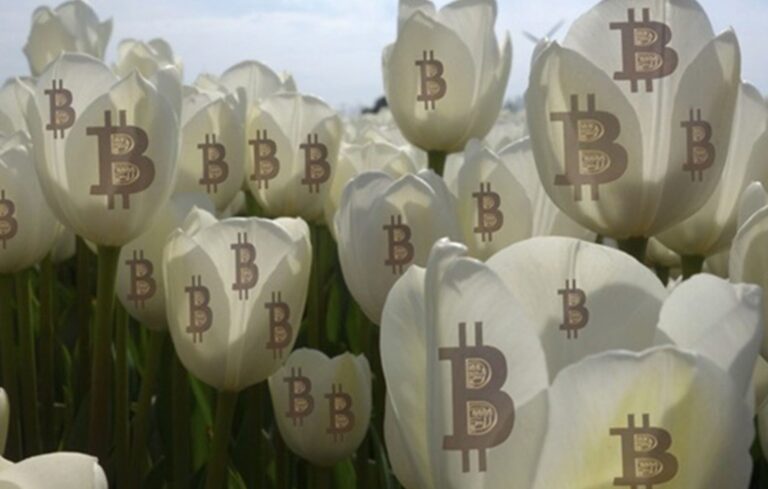 The Difference Between a Bitcoin and a Tulip