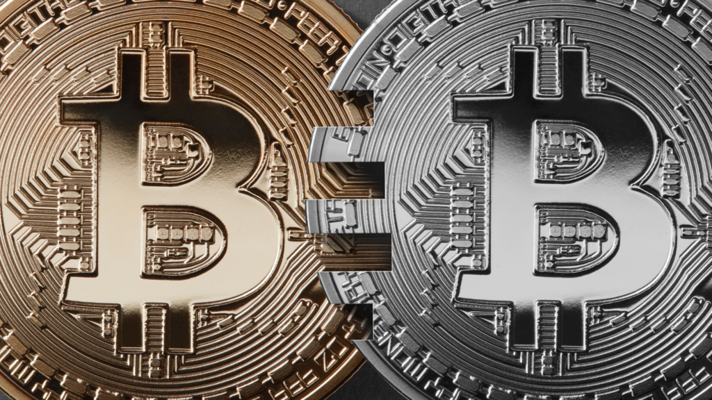 The future of bitcoin cash северодвинск обмен валют