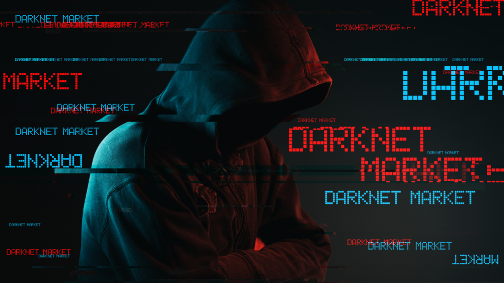 darknet через торрент даркнет2web